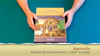 Agricola, componentes y como se juega (Parte 1 de 2)