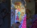 #avemaria #shrinebasilica #madhatv #love #dailyblessing #dailydevotional #jesus #bible #biblestudy