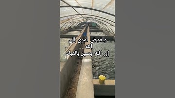 وَأُفَوِّضُ أَمْرِي إِلَى اللَّهِ .. سوره غافر 44 .. من أروع ما قرأ الشيخ عبد الباسط