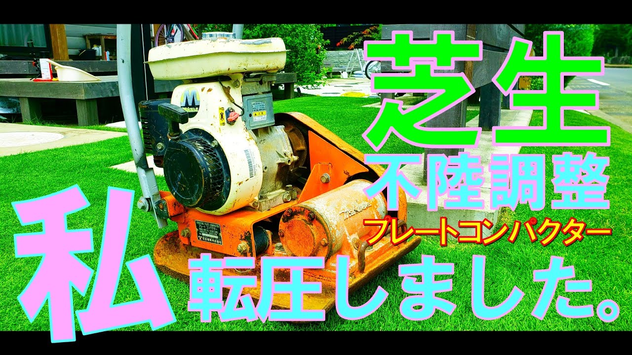 Lawn compaction and unevenness correction] We compacted the lawn