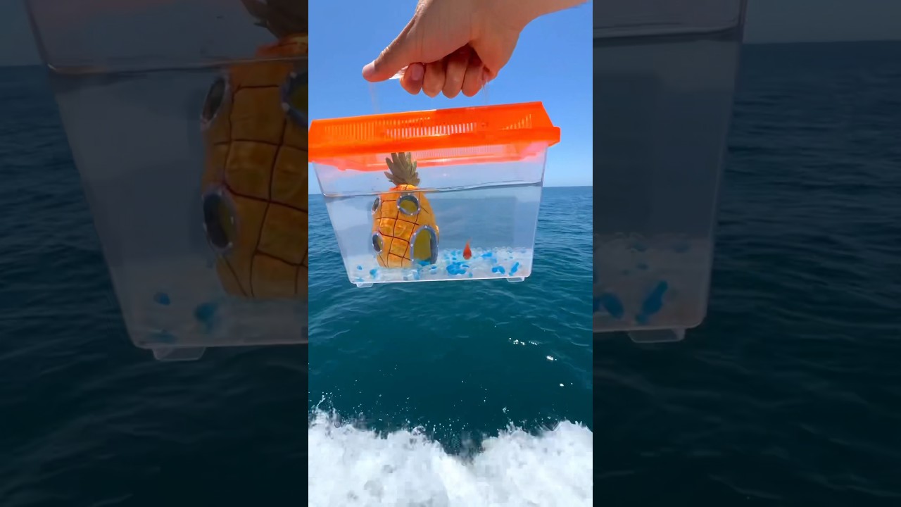I Saved this Goldfish’s life!😳 #shorts
