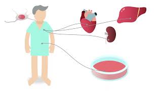 Mesenchymal stem cells in cell and gene therapy – the immunomodulatory properties of MSCs