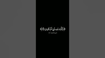 {الذى خلقني فهو يهدين} #كرومات_شاشه_سوداء #الشيخ_ماهر_المعيقلي #سورة_الشعراء #كرومات_قرآن#quran