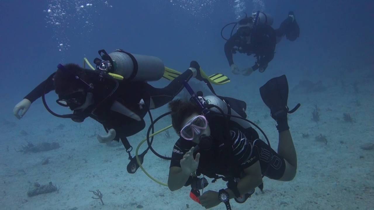 Dressel divers Iberostar Cancun 20Jun16 YouTube