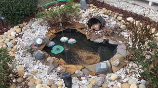 Pond water color fix by Fix it G- by Anish G 30 views 3 years ago 51 seconds