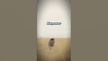 Change Your Mindset, Change Your Life – Henry Ford’s Powerful Truth