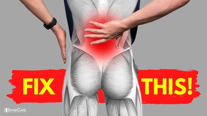 Two Moves for Instant Back Pain Relief #backpain #backpainrelief #lowb, Back  Pain Relief