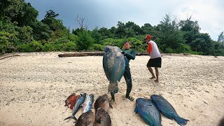 Panah ikan monster besar di kepulauan sula maluku utara #PART 2 || Spearfishing Indonesia
