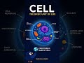 Why Cells Are the Building Blocks of Life 🔬⚡