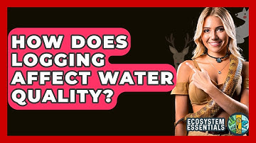How Does Logging Affect Water Quality? - Ecosystem Essentials