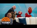 Why larry david is apologizing to elmo
