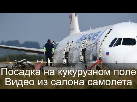 Посадка на кукурузном поле  - Видео из салона самолета