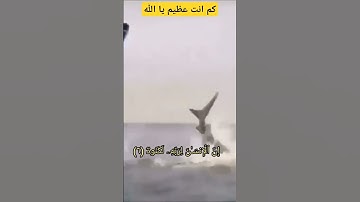 (إِنَّ الْإِنسَانَ لِرَبِّهِ لَكَنُودٌ.... )بصوت القارئ الشيخ خالدالجليل #قرآن_كريم #خالد_الجليل
