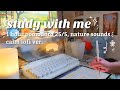 1 HOUR STUDY WITH ME 🌱 pomodoro 25/5, calm lofi, cozy nature sounds, timer & alarm, ambience