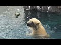 20180904:今日の円山動物園 の動画、YouTube動画。