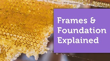 How to Use Frames & Foundation