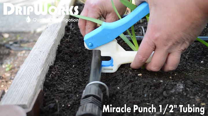 Miracle Punch - Product in Action