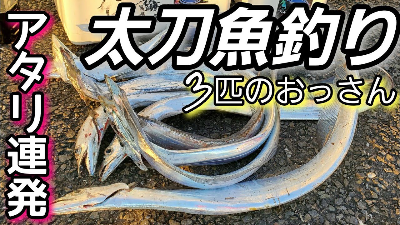 死後3日目のキュウセンベラを料理してみたら まさかの結果になった Youtube