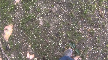 Garrett Pro Pointer security lanyard "The Keeper" review