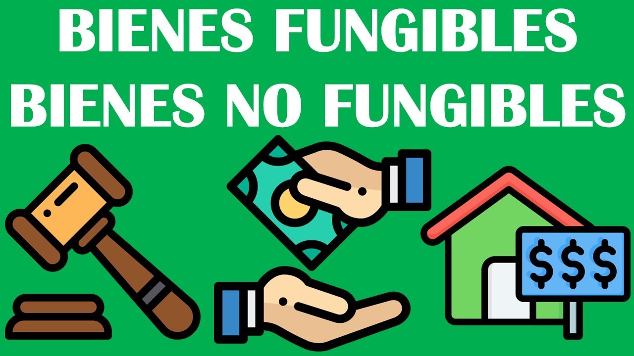 BIENES FUNGIBLES / BIENES NO FUNGIBLES / DERECHO CIVIL - YouTube
