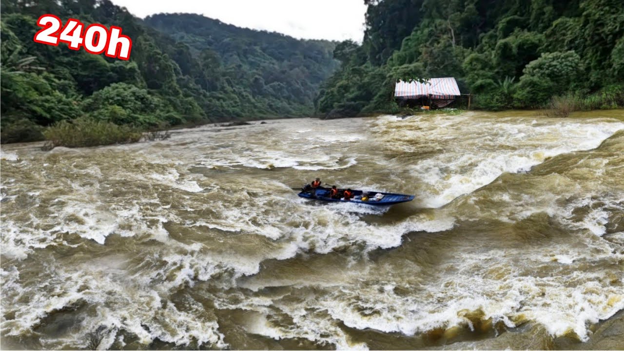 10 Ngày Đêm Săn Cá Trên Thượng Nguồn Sông Đồng Nai | Làm Nơi Trú Ẩn Ngủ Qua Đêm Trong Rừng (Phần 2)