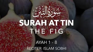 Surah At-Tin (Full) | Islam Sobhi | English Translation
