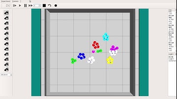 A Minimalistic Approach to Segregation in Robot Swarms - 8 class 40 robots 0.1 density #1
