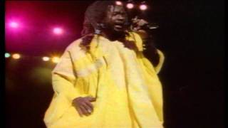 Peter Tosh - Where You Gonna Run ( Live )