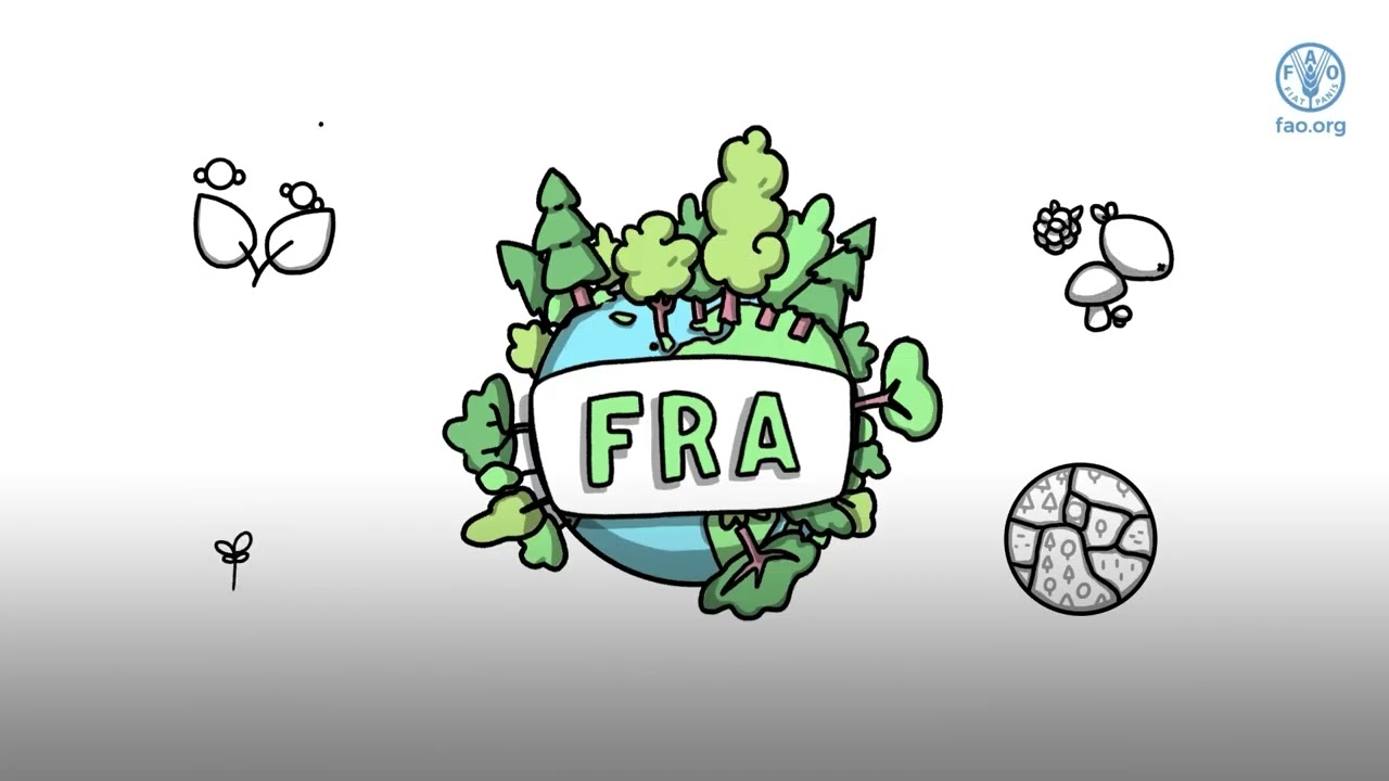 From insights to action: Connecting global forest and climate data