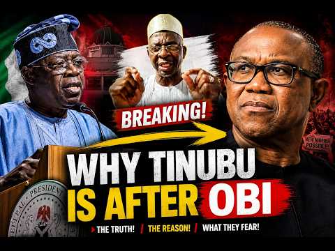 BREAKING: Why Critics Say Tinubu Is Targeting Peter Obi