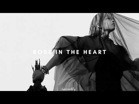ash island - rose in the heart (sped up)