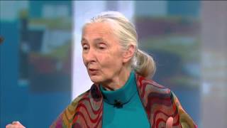 Jane Goodall on George Stroumboulopoulos Tonight: Interview