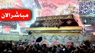 كربلاء مباشر الان| Karbala live