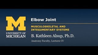 Joints: Elbow & Associated Joints Elbow Joint Well Explained Anatomy101 Quiz Biology Science