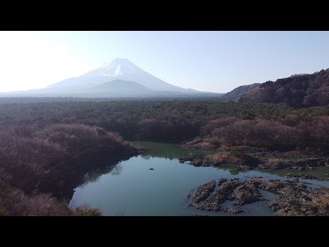 カヤック＆ソロキャンプ～精進湖自由キャンプ場～