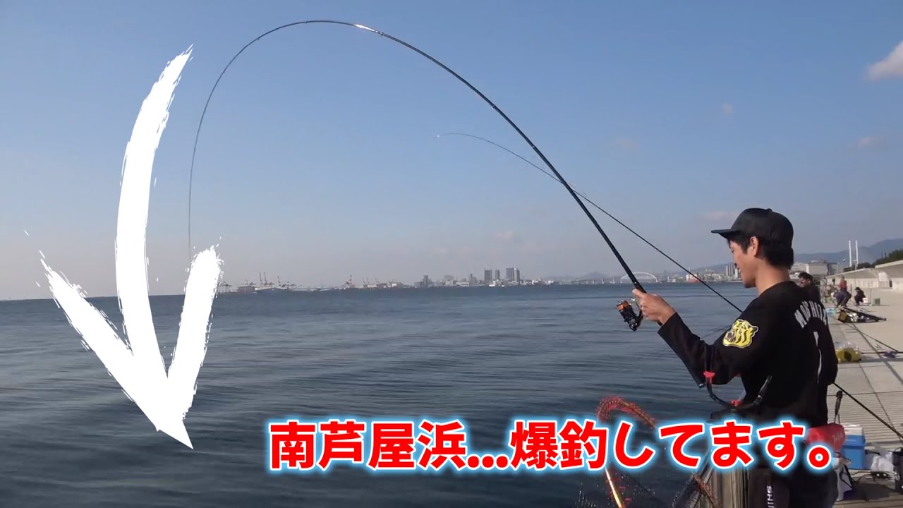 フカセ釣り大爆発！チヌ・グレ連発でまさかの五目釣り達成！！