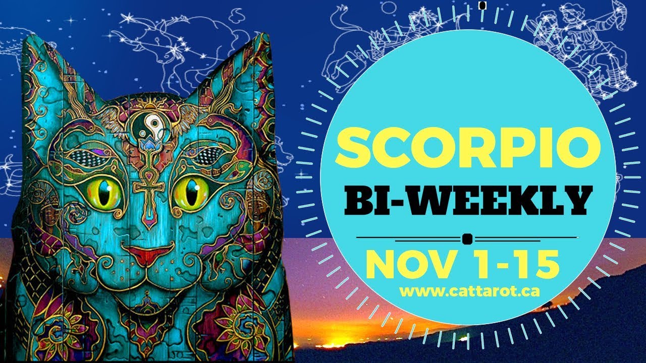 twinflames1111 💞 SCORPIO NOVEMBER Bi Weekly ***Getting to the bottom of things***