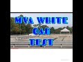 MVA WHITE OAK DRIVER’S TEST ( CODVID 19 PERIOD 2020)