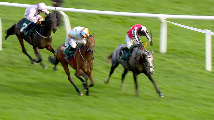 STRAW FAN JACK is a Cheltenham beauty for trainer ...