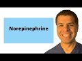 ICU crash course (72):  Norepinephrine (Levophed), our savior vasopressor!