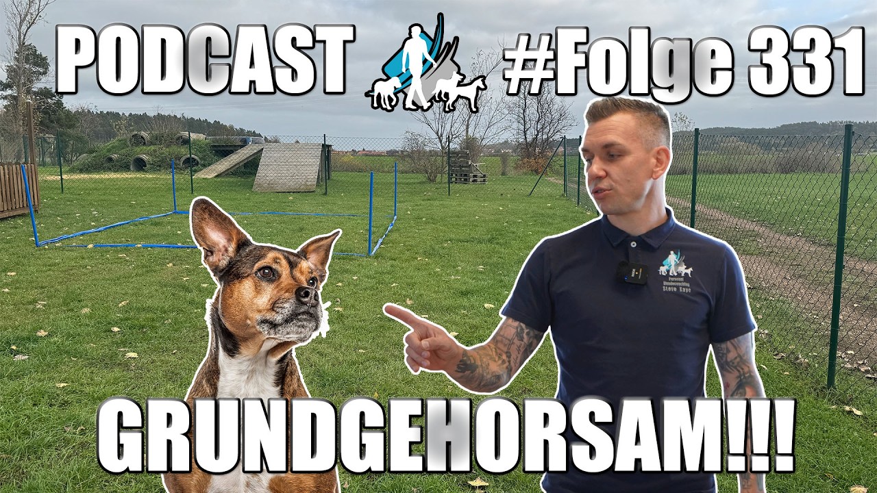 Grundgehorsam bei Hunden - Das muss sein!