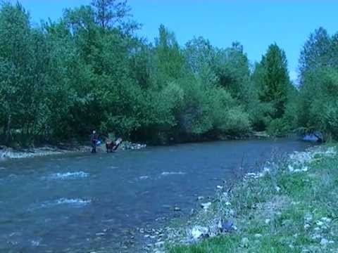 რუსებმა მწყემსი დააკავეს