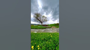 ألم تر أن الله خلق السموات والأرض /من سورة إبراهيم  القارئ هيثم الجدعاني#قرآن_كريم #حالات_واتس