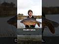 Double take carnage!! #fishingvideo #fishing #carp #carnage #carpfishing #fish #angling #fishinglife