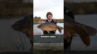 Double take carnage!! #fishingvideo #fishing #carp #carnage #carpfishing #fish #angling #fishinglife