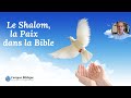 Le shalom la paix dans la bible  tanakh