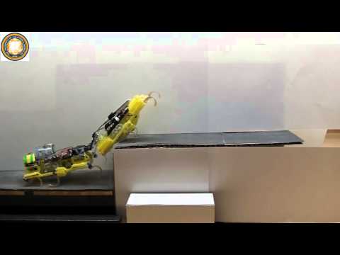 Two VelociRoACH Robots Cooperatively Climb a Step