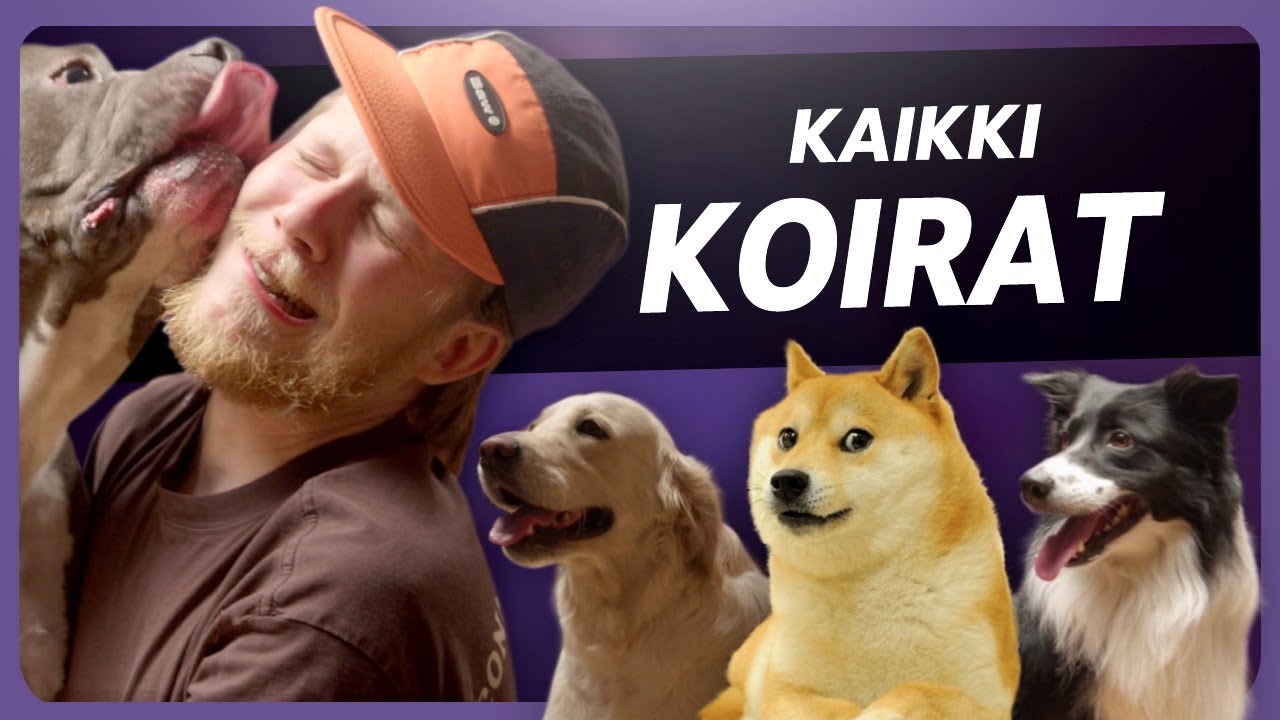 Testataan kaikki koirarodut!
