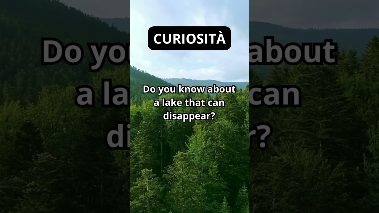 #Curiosity