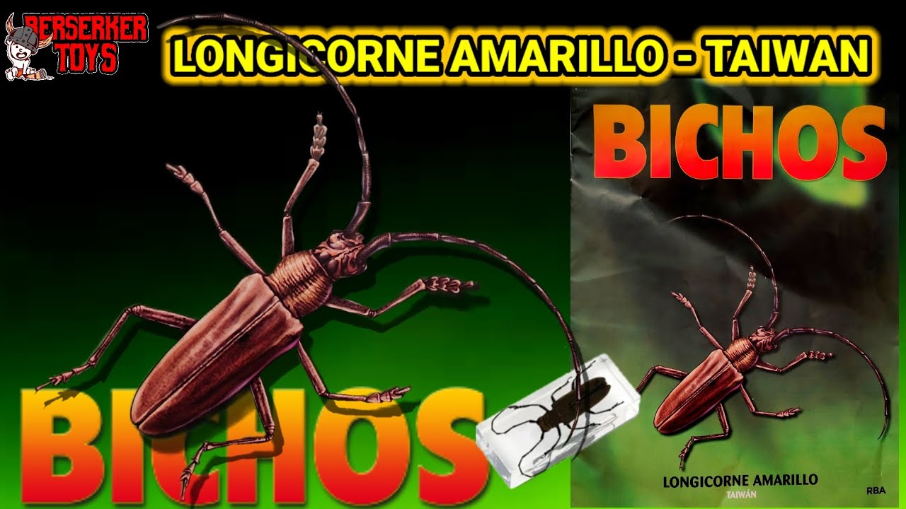 LONGICORNE AMARILLO - TAIWAN - BICHOS RBA - COLECCIÓN DE INSECTOS Y ...